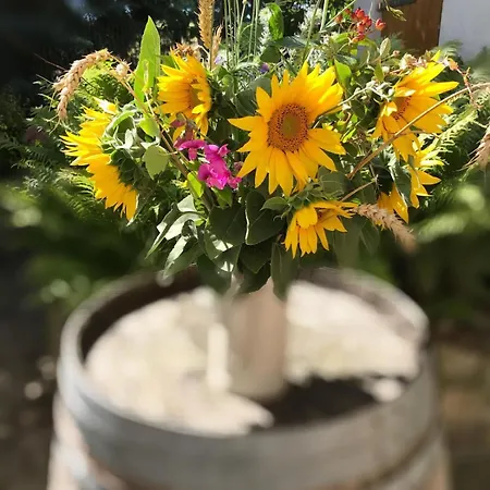 Appartement Monebluemchen