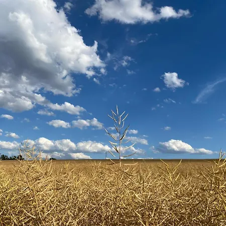 Appartement Monebluemchen Naumbourg