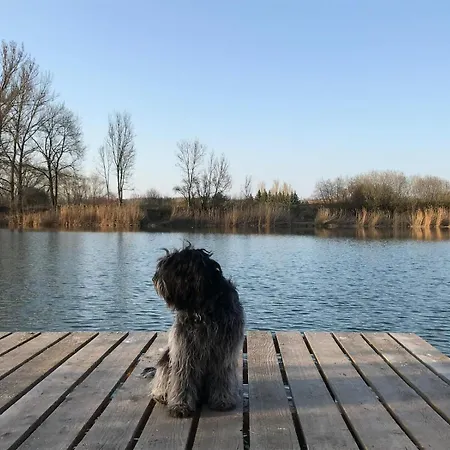 Monebluemchen * Naumbourg