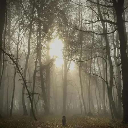 Monebluemchen Appartement