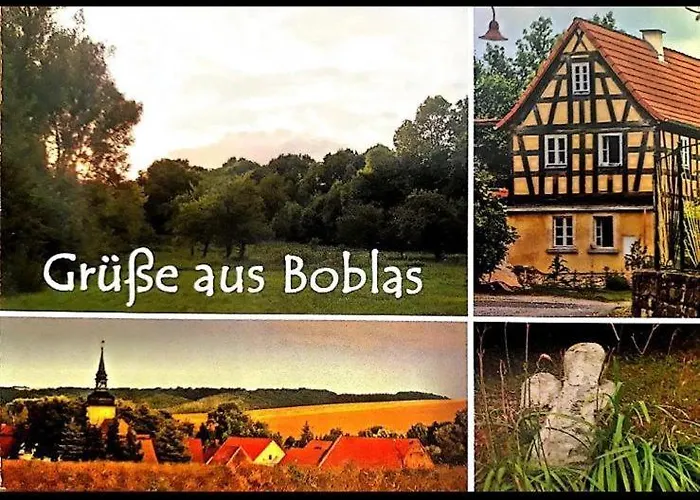 Monebluemchen * Naumburg (Saale)