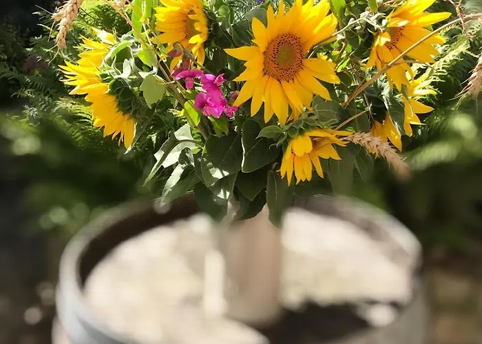 Lägenhet Monebluemchen