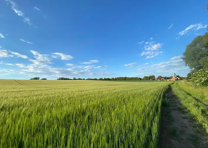 Monebluemchen Lägenhet Naumburg (Saale)