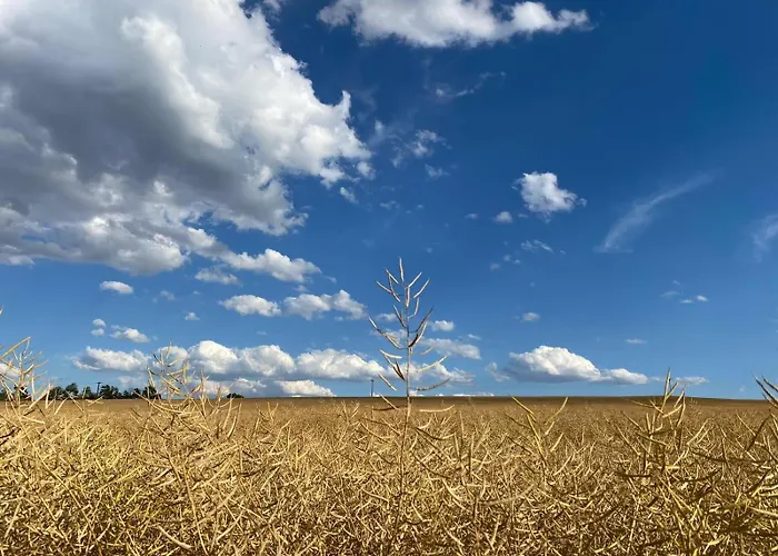 Lägenhet Monebluemchen Naumburg (Saale)