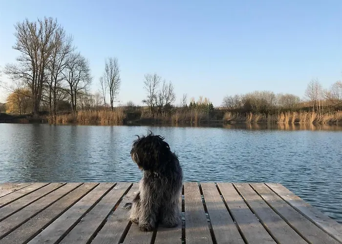 Monebluemchen * Naumburg (Saale)