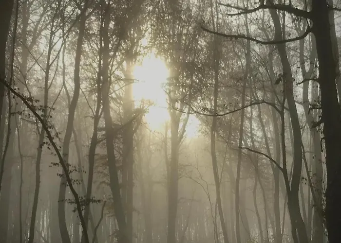 Monebluemchen Lägenhet